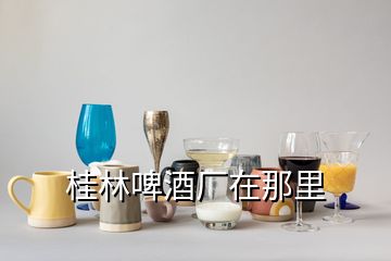 桂林啤酒厂在那里