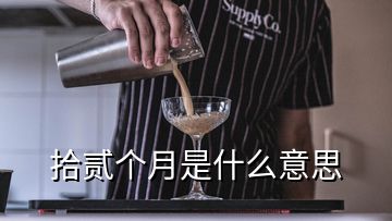 拾贰个月是什么意思