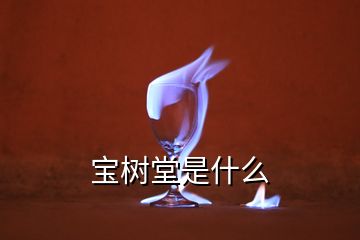 宝树堂是什么