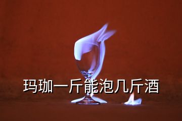 玛珈一斤能泡几斤酒