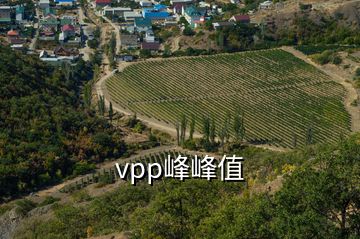 vpp峰峰值