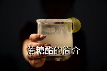 蔗糖酯的简介