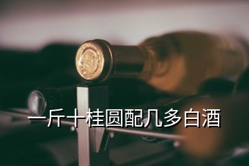 一斤十桂圆配几多白酒