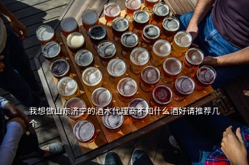 我想做山东济宁的酒水代理商不知什么酒好请推荐几个