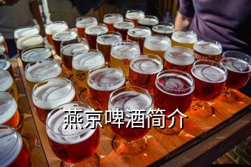 燕京啤酒简介