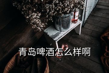 青岛啤酒怎么样啊