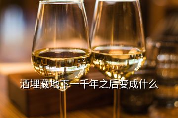 酒埋藏地下一千年之后变成什么