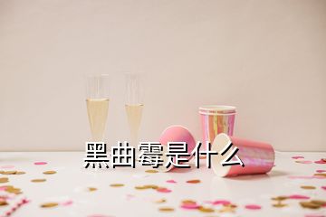 黑曲霉是什么