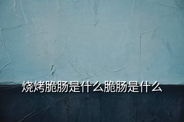 烧烤脆肠是什么脆肠是什么