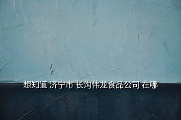 想知道 济宁市 长沟伟龙食品公司 在哪