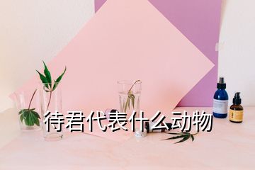 待君代表什么动物