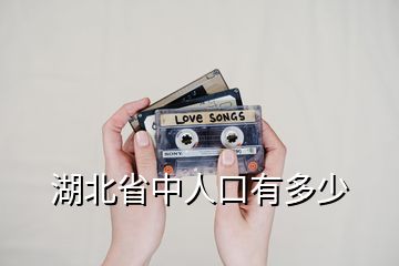 湖北省中人口有多少