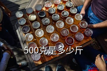 500克是多少斤