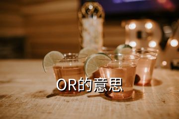 OR的意思