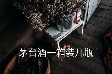 茅台酒一箱装几瓶