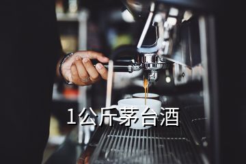 1公斤茅台酒