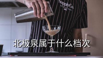 北极泉属于什么档次