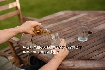 中国邮政国内快递包裹查询网 请帮我查下KA08448295913到哪里了