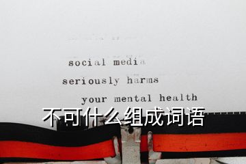 不可什么组成词语