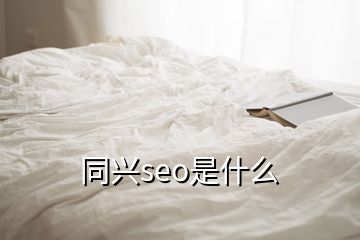 同兴seo是什么