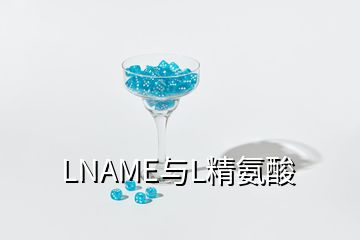 LNAME与L精氨酸