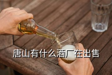 唐山有什么酒厂在出售