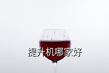 提升机哪家好