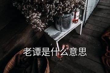 老谭是什么意思