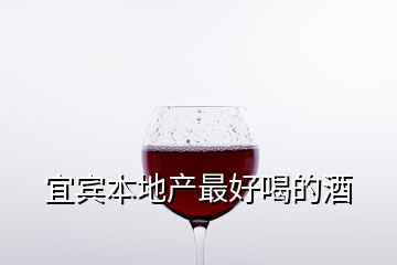 宜宾本地产最好喝的酒