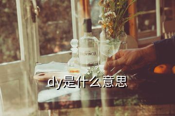 dy是什么意思