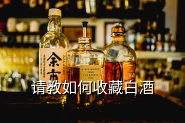 请教如何收藏白酒