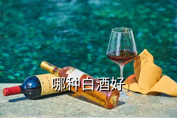 哪种白酒好