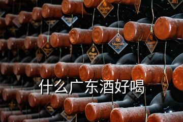 什么广东酒好喝