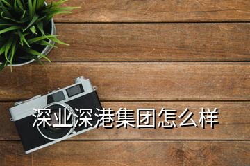 深业深港集团怎么样