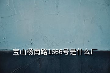 宝山杨南路1666号是什么厂