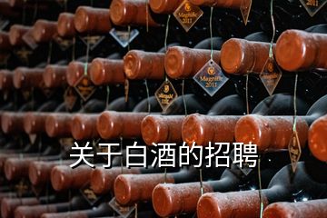 关于白酒的招聘