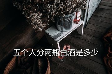 五个人分两瓶白酒是多少