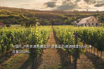 中国礼泸州贡酒典藏金印 浓香型白酒酒精度52vol 净含量500mL