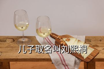 儿子取名叫刘熙桐