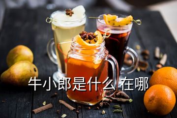 牛小郎是什么 在哪