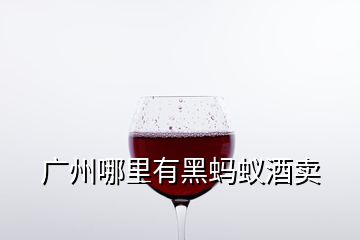 广州哪里有黑蚂蚁酒卖