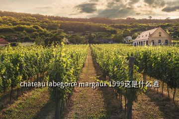 chateau labegorce margaux 1999这是什么酒