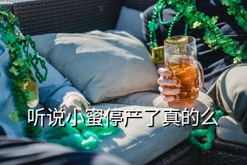 听说小蜜停产了真的么