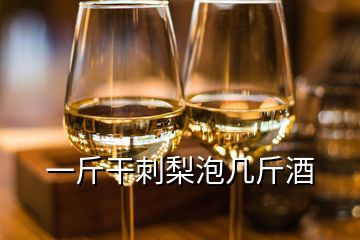 一斤干刺梨泡几斤酒