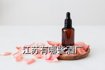 江苏有哪些酒厂