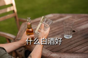 什么白酒好