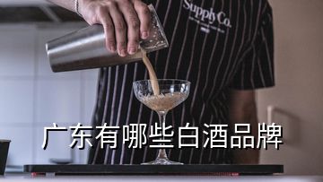 广东有哪些白酒品牌