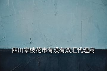 四川攀枝花市有没有双汇代理商