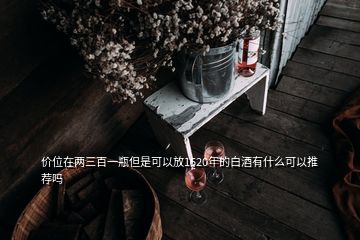 价位在两三百一瓶但是可以放1520年的白酒有什么可以推荐吗