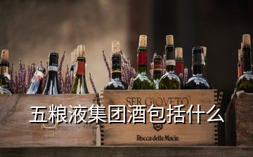 五粮液集团酒包括什么